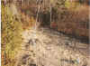 ct030301x4.jpg (74022 バイト)